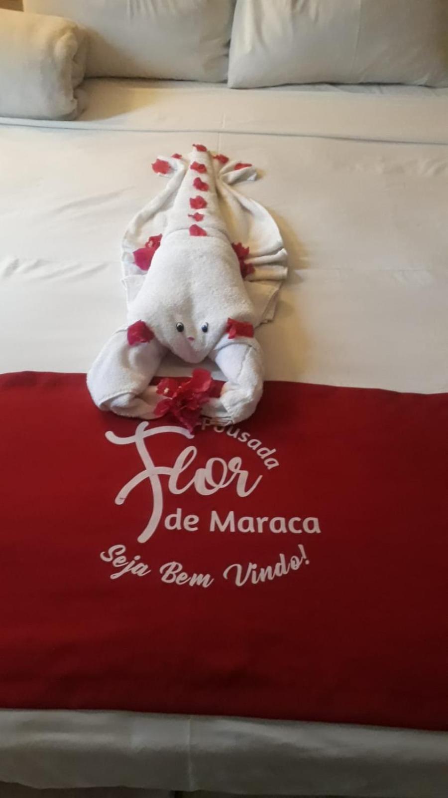 Pousada Flor De Maraca Pôrto das Galinhas Eksteriør billede