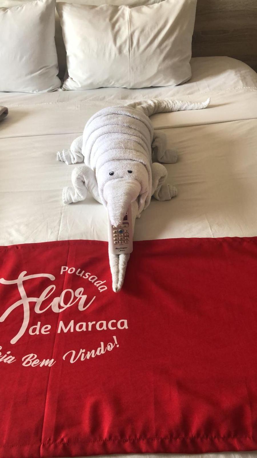 Pousada Flor De Maraca Pôrto das Galinhas Eksteriør billede